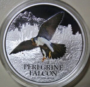 jEG 2h 2013N  1IX #F6016 ҋח v[t J[yO