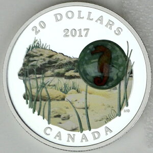 �J�i�_ 2017�N 20�h�� �C�̒�F�^�c�m�I�g�V�S�A1�I���X �V���o�[�v���[�t�������[�j�O���X