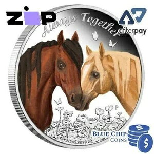 2017N 50Zg co I[EFCYEgDQU[Ez[X 1/2IX Vo[ v[tRC