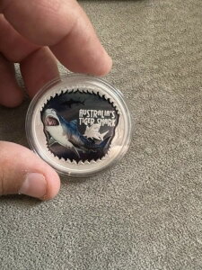 2023N co C^`U v/댯 I[XgA 1IX J[ v[t