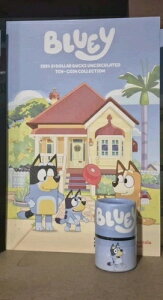 I[XgA u[C 1hD obNX 2024 10ZbgiʁjtH_[ IX