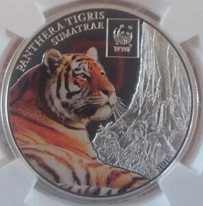 �� 2016 WWF �^���U�j�A �X�}�g���g�� �J���[���C�Y�h ���C���[�h �V���o�[ NGC PL69
