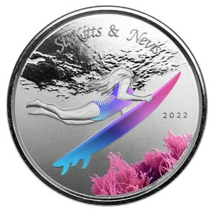 1�I���X �V���o�[ �v���[�t �T�[�t�@�[�K�[�� EC8 �Z���g�L�b�c�E�l�C�r�X 2022 .999 �s���A �J���[���C�Y�h
