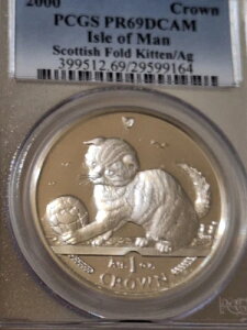 }Y 2000NY XReBbVtH[h CAT 69 O[h fB[vJIdグ Vo[NE