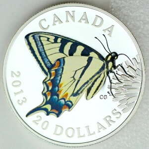 Ji_ 2013 $20 Ji_̃^CK[X[eC  J[v[t