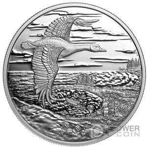 ݐڑꂽR  20h Ji_ 2025