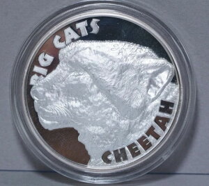 rbOLbc `[^[ 2IX 999 Vo[A20h VGIlA󏭒AӒ菑AfBXvC{bNX