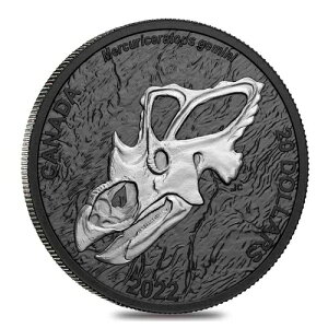 2022NJi_ 1IX 20h  ̊p̂̃RC