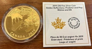 2019N 30h ␻ S[f vf^[v[ IIJ~wWJ 2IX