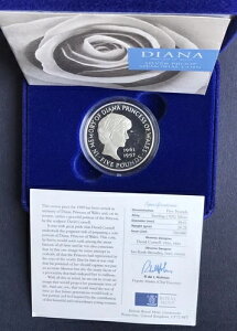 p 1999N _CAi܋LO 5|h Vo[ v[tRC ~ COA ~ P[Xt