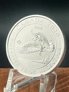 2020NJi_쐶nNgEV1.5IX݁i[v[ttj$8