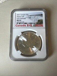 2018NJi_5h݃[v[tfUC[XMS69 NGC