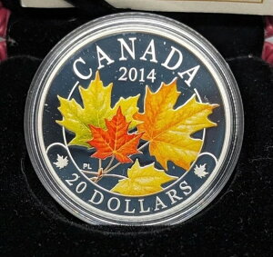 2014NJi_h20h - Yȃ[v[tƐF - RCM