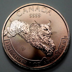 2017N 5h Ji_ 1IX 9999Vo[ NX ChCt vf^[V[Y RC i`g[jO