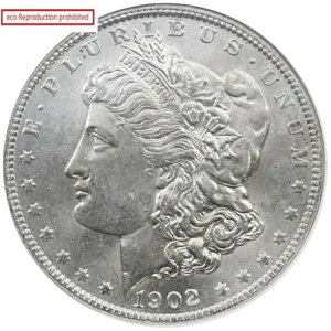 AJ 1902N 1h 1IX  NGC MS63 KE_[