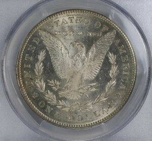1878�N S ���[�K�� �V���o�[�h�� ~ PCGS MS 62 ~ �� VAM 50 LAVA WING ~ �q�b�g���X�g 40