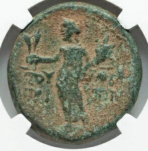 AObp2 _ I49-95NAAE28 [}鍑 EFXpVAkX ɂ߂Ċ󏭁ANGC F