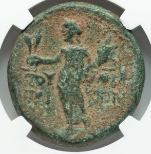 AObp2 _ I49-95NAAE28 [}鍑 EFXpVAkX ɂ߂Ċ󏭁ANGC F