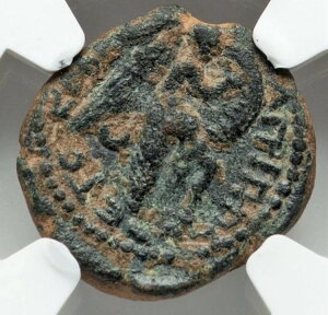 AObp2 _ I49-95NAAE18 [}鍑 h~eBAkX ɂ߂Ċ󏭁ANGC VF