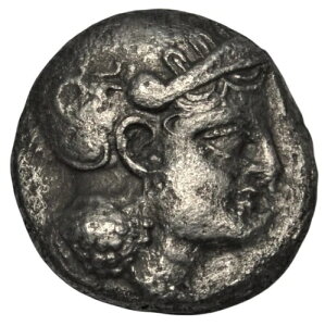 �Ñ�o�N�g���A�F�\�t�B�e�X�u�C�[�O���V���[�Y�vAR�h���N�}�d�݁B�I�N�T�X�n���̑�����