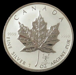 2004N Ji_ 5h 嶍  vCx[g [v[t 1IX 