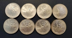 1995 LVR 1 IX Vo[ x^ Ei IU v^ v 0.999 t@C