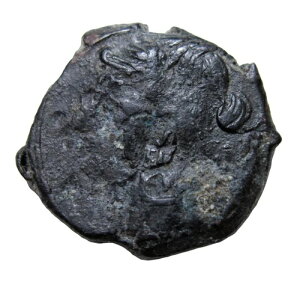 [EM^jAAJ^SBTf[j̃~gB AE 23AIO 260 ` 250 NB^jbg/nB