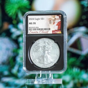 2024N 1h݁uT^xv | NGC MS70