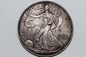 2005N AJ 1h C[O 1IX 999 ~gRfBV C{[g[ SE-2005-17