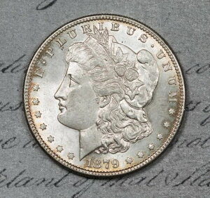 1879-S �����K���E�_���[ ������ MS �W�F�~�[ ���Ȃ��I #CSR6