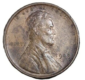 1909-VDB J[Zg sK؂ȍG[ - SVN569