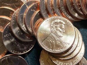 2024 D J[V[hyj[{bNXA25hzʁABURC50[