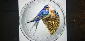 Ji_ 2011 u[ o[ X[ o[h V[Y j[NȓJ[ 25 Zg