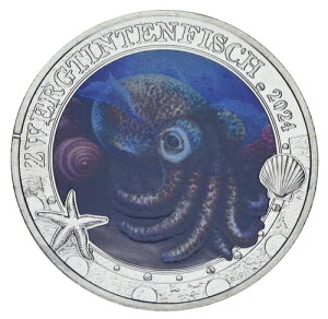 I[XgA 3 [ 2024 UNC C̐ - nC̃CJ