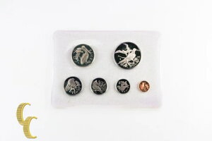 1973N CMX̃@[W v[tZbg 6 ƃP[Xt