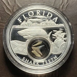 2021N AJ̕ t_̃T̎ .999 Vo[ lCeBuAJ #77