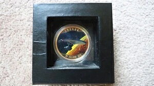 2016N X^[gbN G^[vCY/NC[E 20Ji_h J[v[t 50N