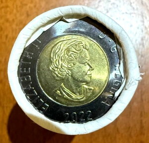 2022�N�J�i�_�h��2�g�D�[�j�[�d�� - �~���g���b�v���[���i25������j - �G���U�x�X2���������]����