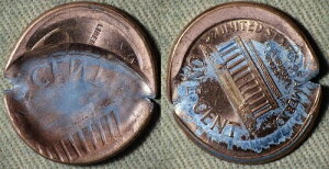 G[: ND Zg }bV[^CfgAguP[WAtbvI[o[t IREC2644