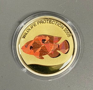 �R���S���勤�a�� 2005�N �v���Y���W���G�� �V�N���b�h 10�t���� �v���[�t �V���o�[ �N���E��