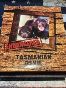 2013N co 1h v[t ^X}jAfr Ŋ뜜 1IX RC {bNX COA