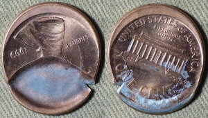 G[: 1999 Zg }bV[^Cfg guP[Wt IREC2662