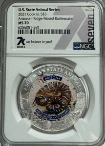 2021�N 5�h�� �V���o�[ �č��B�����V���[�Y AZ ���b�W�m�[�Y�K���K���w�r NGC MS 70
