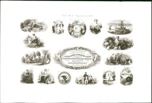 }CNEr[EXpC_[EvX v[t }CNEr[EXpC_[EvX