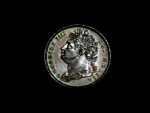 �u�����A���g �A���T�[�L�����[�g ���b�h�u���E�� 1821 �h�b�g �O���[�g�u���e�� 1/4 �y�j�[ �t�@�[�W���O F1