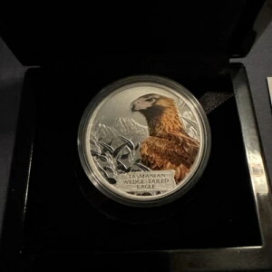 2012N Ŋ뜜^X}jAIIV 1IX 1h Vo[v[tRCI