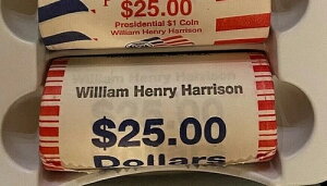 2009Nn\哝̋LO25hd݁AčǔsAOBW 25h[BOBWɂ̓~g}[NȂB