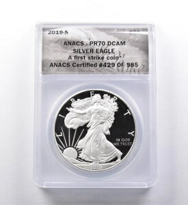 PR70 DCAM 2019-S �A�����J���V���o�[�C�[�O�� FS ANACS *3014