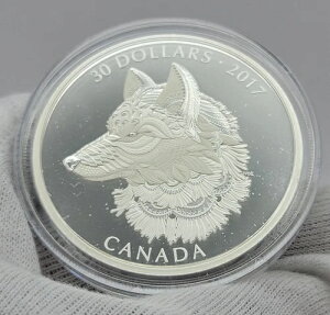 2017�N �[���^���O�� �O���[�g�O���C�E���t �J�i�_ 99.99 ����R�C�� COA�t��