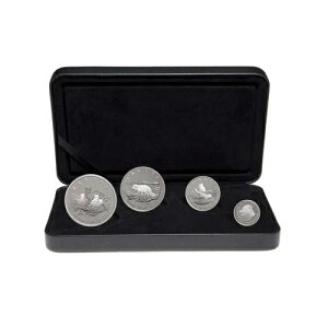 2004N A[NeBbNtHbNX  tNViv[tZbg